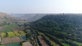 Ecosystem disaster climate change